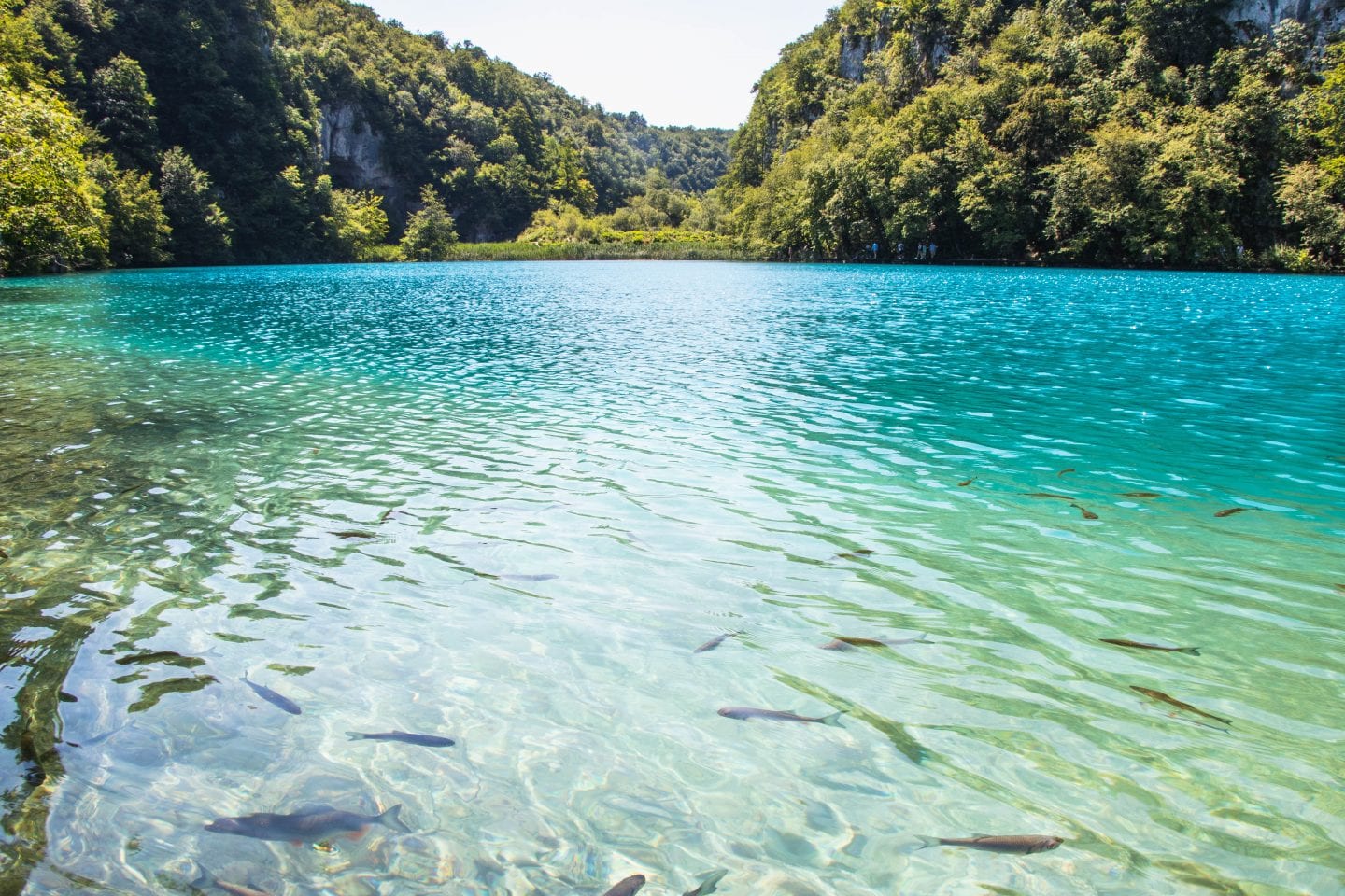 tour croazia plitvice