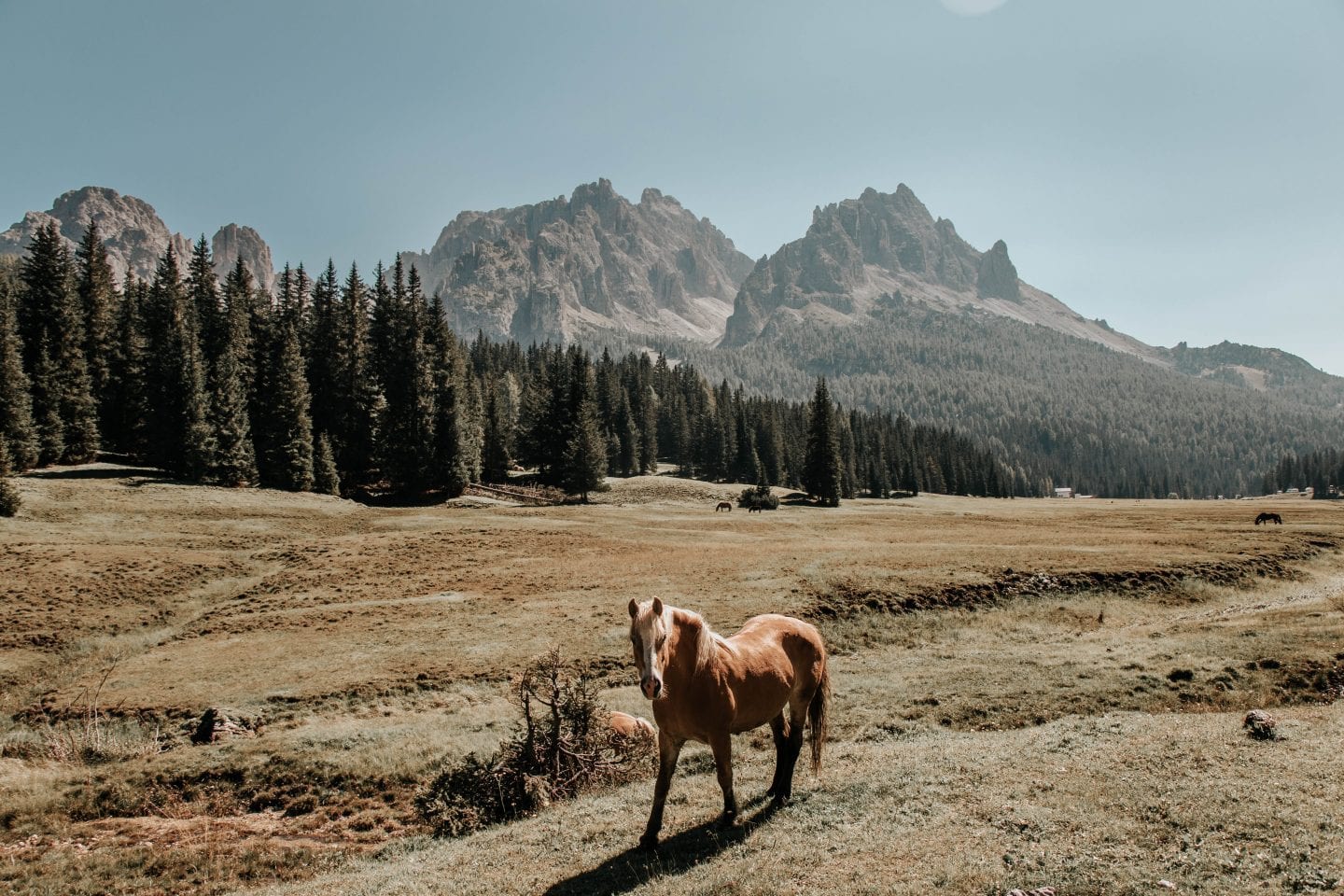 3 day dolomites tour