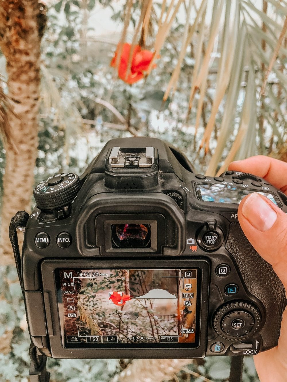 canon 80d shutter speed
