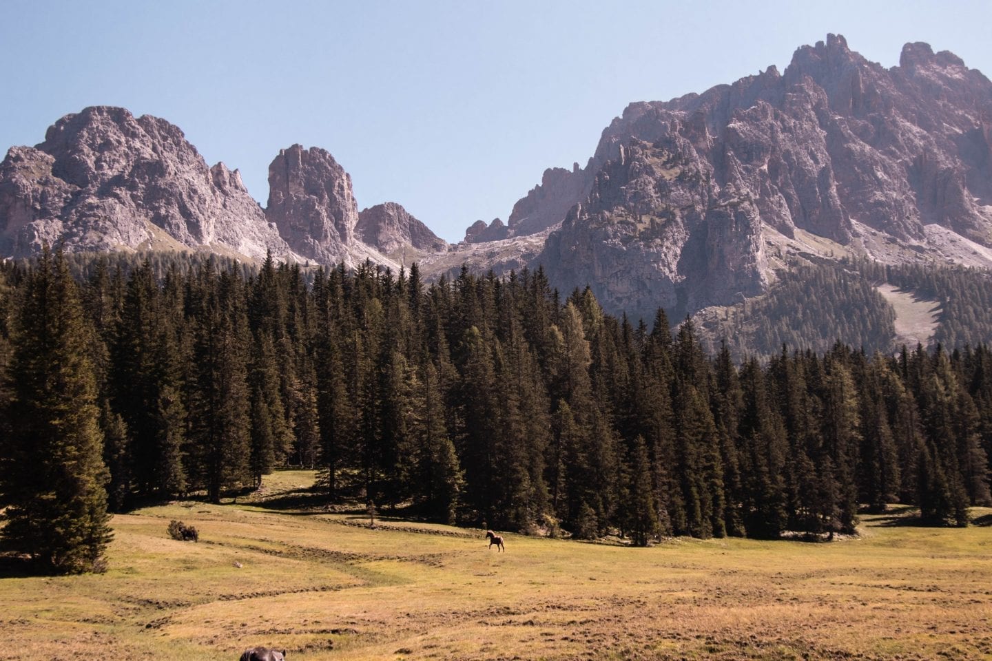 Dolomites Italy peaks and horse