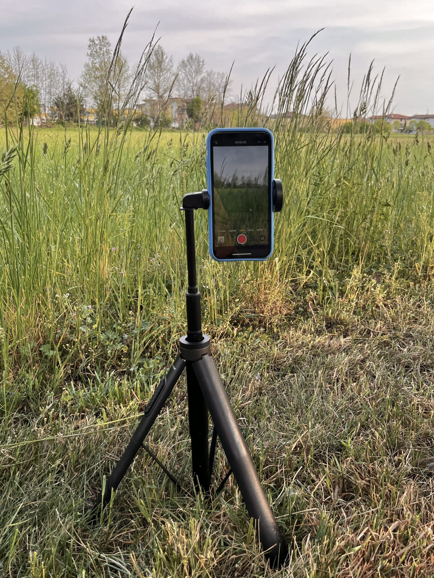 iPhone on tripod in middle of green, grassy meadow taking a travel photo