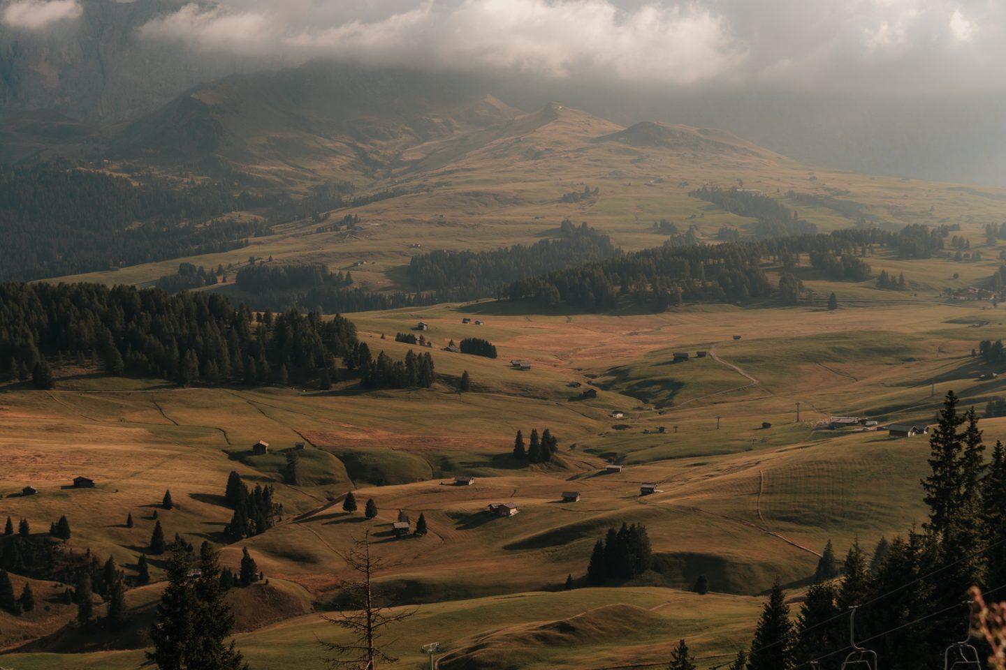 Rolling hills of green plains, wooden cabins and small forests - Alpe di Siusi, Italy