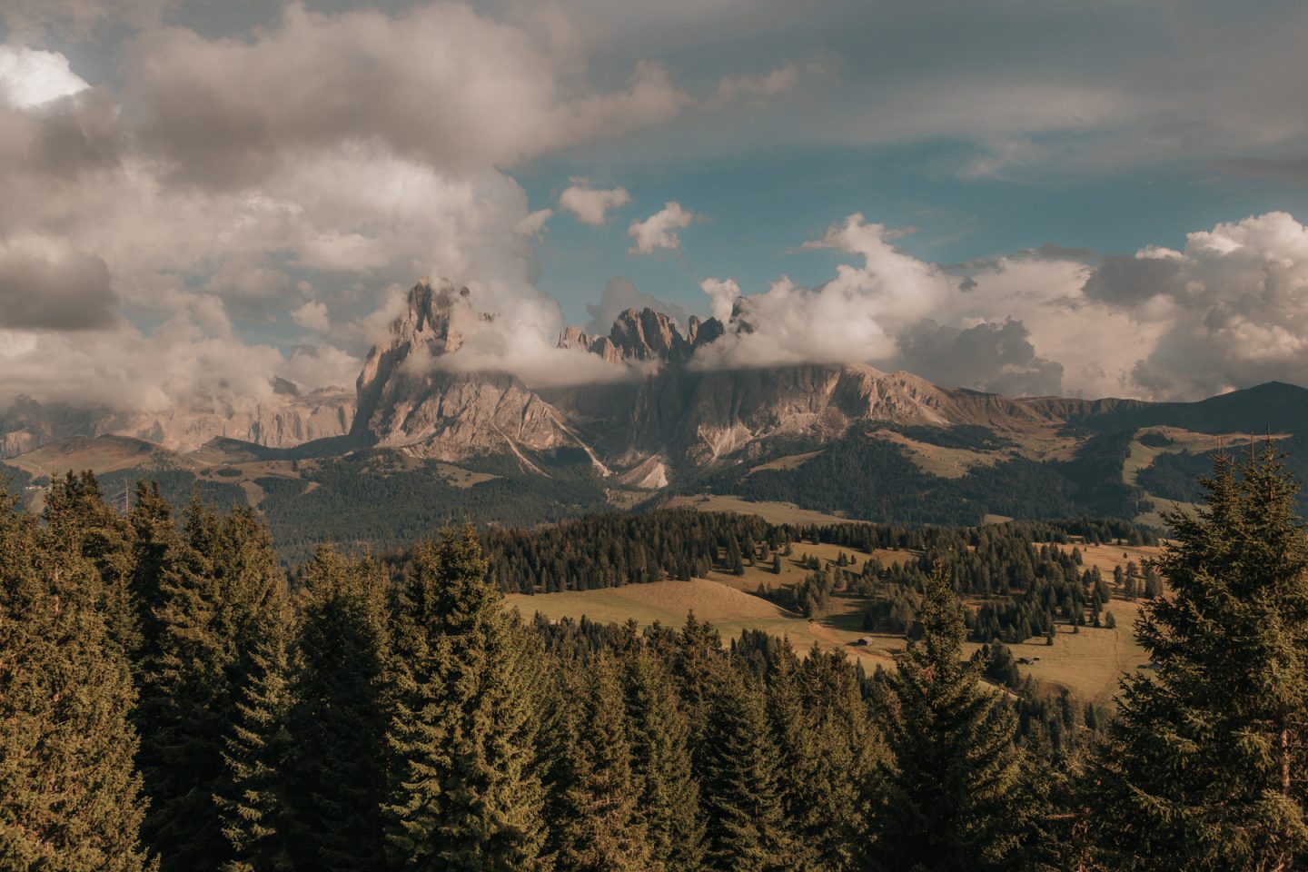 Mountain landscape with green, forested plains - Alpe di Siusi, Italy