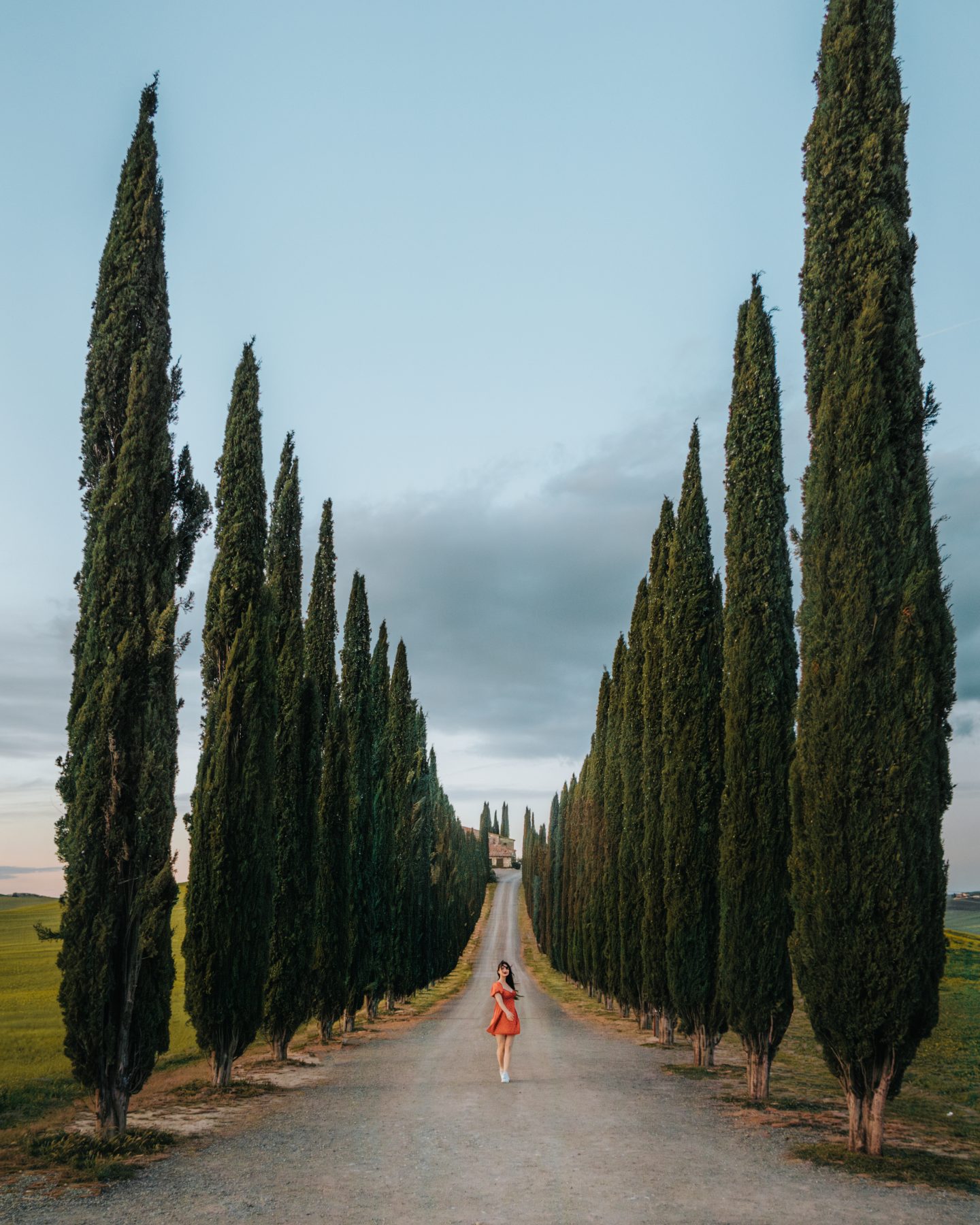 Where to See Cypress Trees in Tuscany: Top 10 Photo Spots