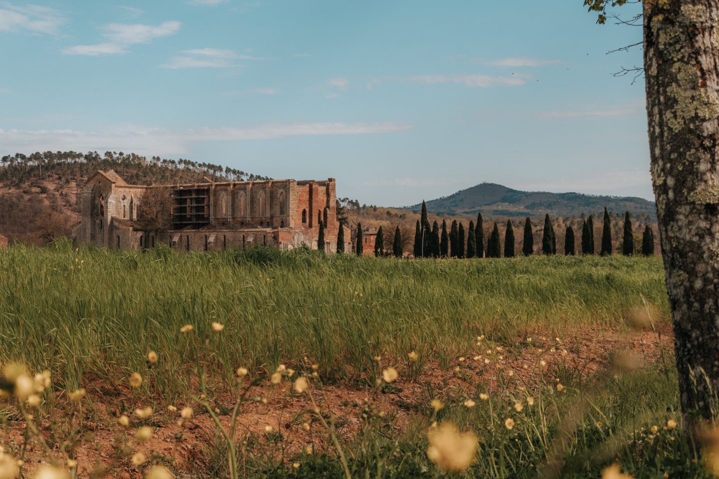 Abbazia San Galgano, ruins of gothic church in Tuscany