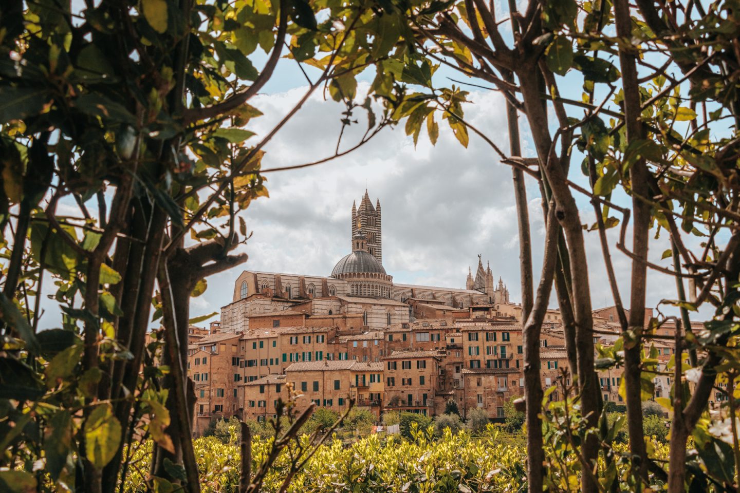 best road trip tuscany