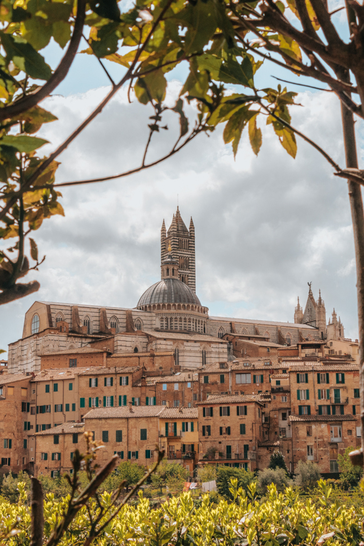 The Best One Day in Siena, Italy Itinerary You Need To Steal